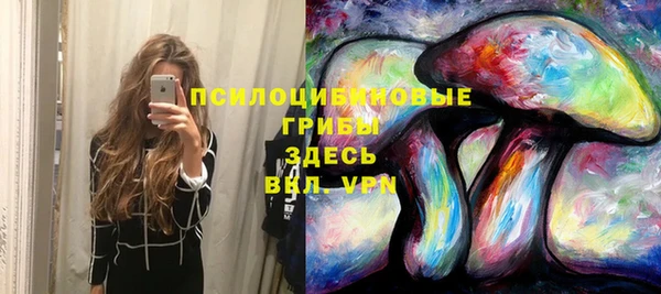меф Белокуриха